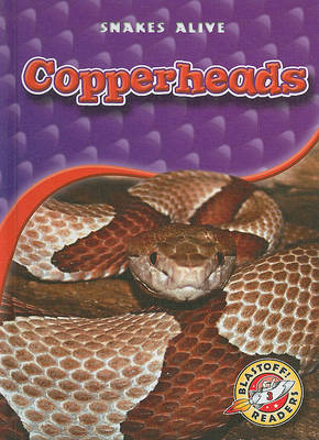 Cover of Copperheads