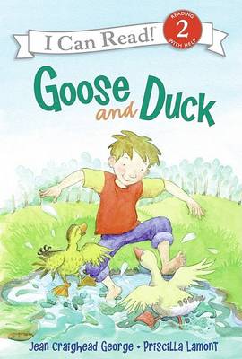 Cover of Goose and Duck