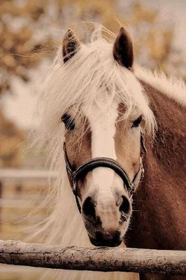 Book cover for Dreamy Horse Journal