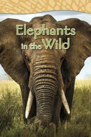 Cover of Elephants in the Wild