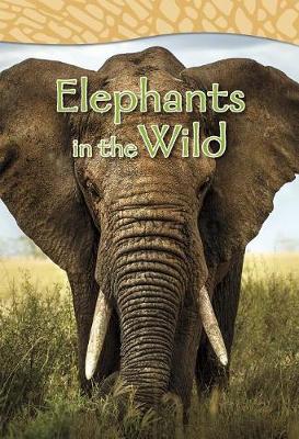 Cover of Elephants in the Wild