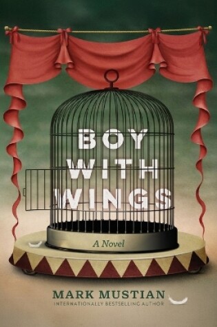 Cover of Boy With Wings