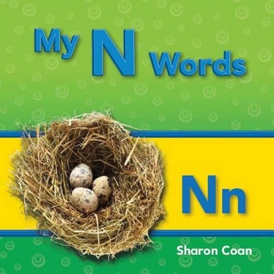 Book cover for My N Words