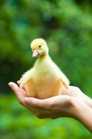 Cover of Precious Little Yellow Duckling Journal