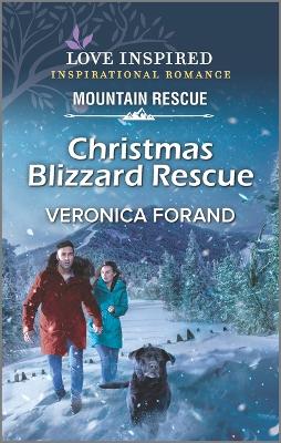 Book cover for Christmas Blizzard Rescue