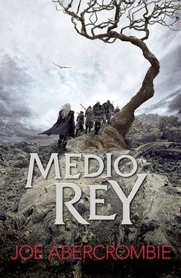 Book cover for Medio Rey