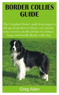 Book cover for Border Collies Guide