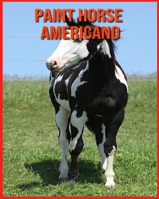 Book cover for Paint Horse Americano