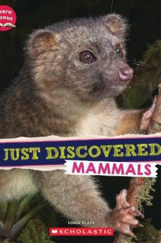 Cover of Just Discovered Mammals (Learn About: Animals)