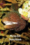 Book cover for Moray Eel Sketchbook