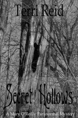 Cover of Secret Hollows
