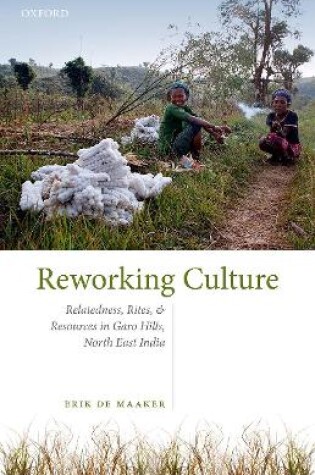 Cover of Reworking Culture