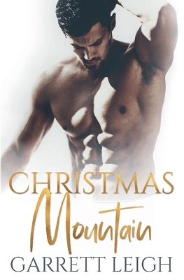 Book cover for Christmas Mountain