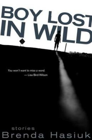 Cover of Boy Lost in Wild