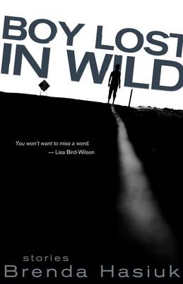 Book cover for Boy Lost in Wild