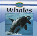 Book cover for Whales