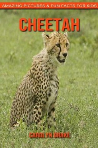 Cover of Cheetah