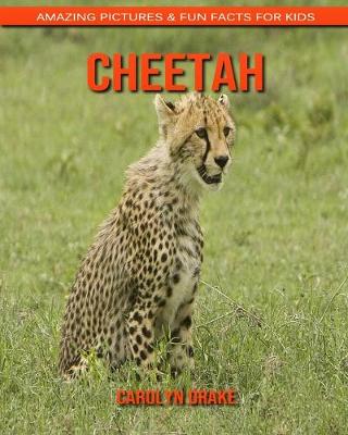 Book cover for Cheetah