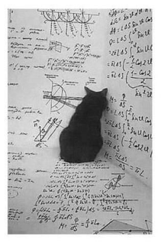 Cover of Schroedinger's Cat