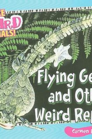 Cover of Flying Geckos and Other Weird Reptiles