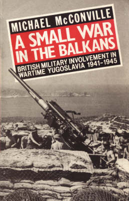 Book cover for A Small War in the Balkans