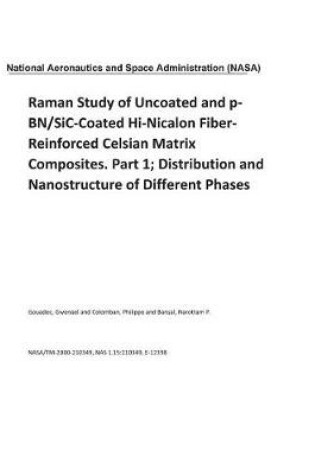 Cover of Raman Study of Uncoated and P-Bn/Sic-Coated Hi-Nicalon Fiber-Reinforced Celsian Matrix Composites. Part 1; Distribution and Nanostructure of Different Phases