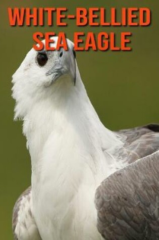 Cover of White-Bellied Sea Eagle