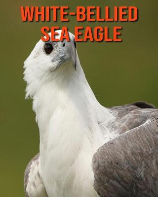 Book cover for White-Bellied Sea Eagle