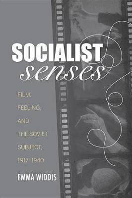Book cover for Socialist Senses