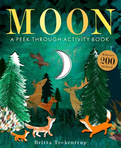 Book cover for Moon: A Peek-Through Activity Book