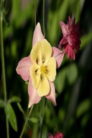 Cover of Floral Journal Columbine Star Shaped Leaves