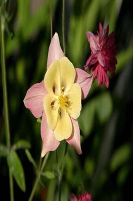 Cover of Floral Journal Columbine Star Shaped Leaves