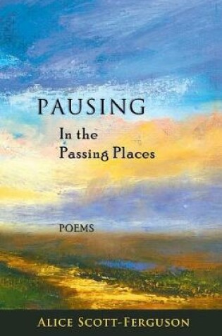 Cover of Pausing in the Passing Places