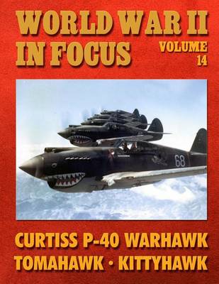 Book cover for World War II in Focus Volume 14