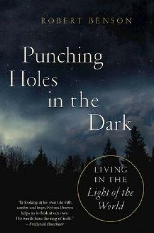 Cover of Punching Holes in the Dark