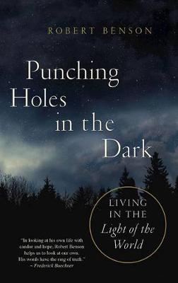 Book cover for Punching Holes in the Dark