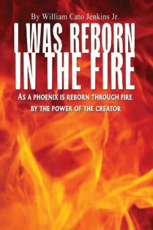 Cover of I Was Reborn in the Fire