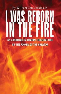 Book cover for I Was Reborn in the Fire