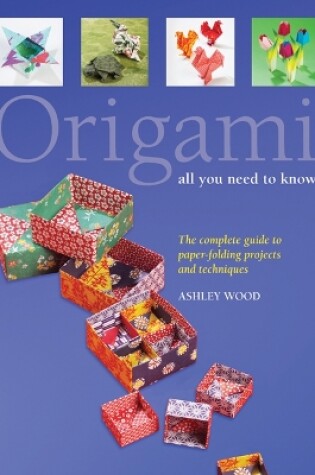 Cover of Origami All You Need to Know