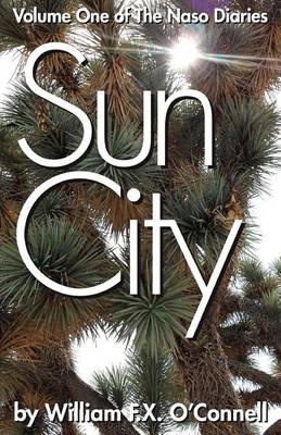 Book cover for Sun City