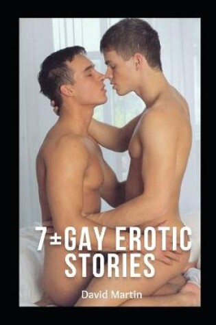 Cover of 7+ Gay Erotic Stories