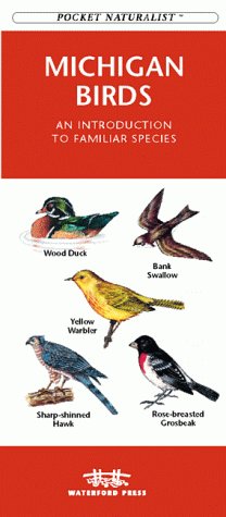 Book cover for Michigan Birds
