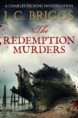 Book cover for The Redemption Murders