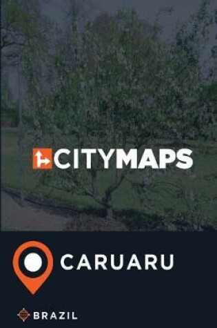 Cover of City Maps Caruaru Brazil