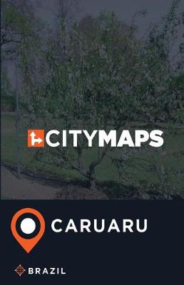 Book cover for City Maps Caruaru Brazil