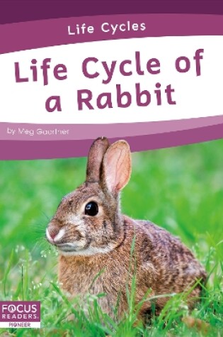 Cover of Life Cycles: Life Cycle of a Rabbit