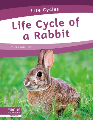 Book cover for Life Cycle of a Rabbit