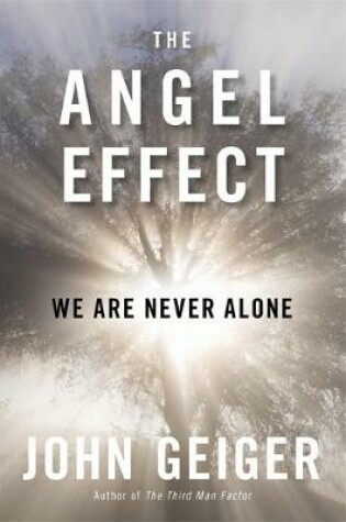 Cover of The Angel Effect