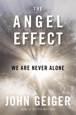 Book cover for The Angel Effect