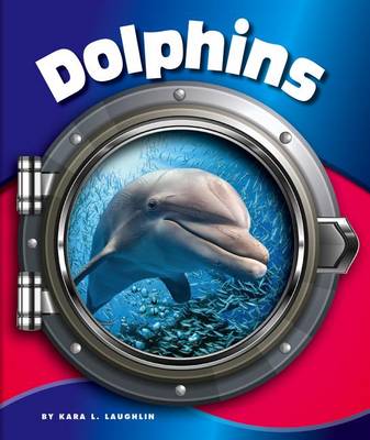 Book cover for Dolphins